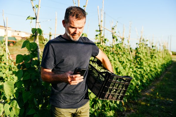 What are the detailed steps to start a UK-based agricultural technology (AgTech) company?
